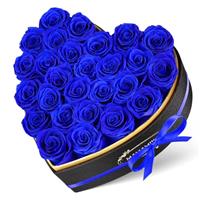 MAMAMIKO 16 and 27 Love Shape Rose Preserved Flowers Gifts For Women, Friends, Friend, Family, Mother