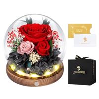 MAMAMIKO Preserved Flowers Gifts For Women, Friends, Friend, Family, Mother
