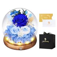 MAMAMIKO Preserved Flowers Gifts For Women, Friends, Friend, Family, Mother
