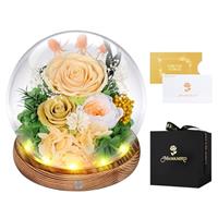 MAMAMIKO Preserved Flowers Gifts For Women, Friends, Friend, Family, Mother