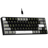 NEWMEN GM681 Wired Mechanical Keyboard,60% Percent Gaming Keyboard,Compact Ergonomic LED Backlit USB C Mini Keyboard for PC