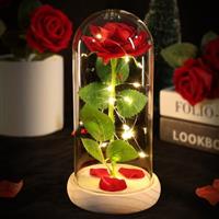 Flowers Gifts for Women Beauty and The Beast Rose Eternal Rose Present in Glass Dome Galaxy Rose for Her Mum Grandma Nan Mother's Day