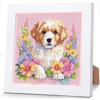 Diamond Painting Kits for Kids with Frame