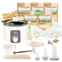 LINGQIAN Candle Making Kits for Adults Beginners,Soy Wax for