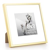 Aluminum Picture Frames
