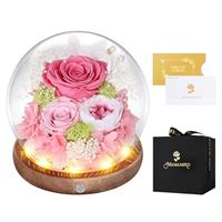 MAMAMIKO Preserved Flowers Gifts For Women, Friends, Friend, Family, Mother