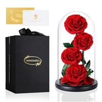 MAMAMIKO Preserved Flowers Gifts For Women, Friends, Friend, Family, Mother