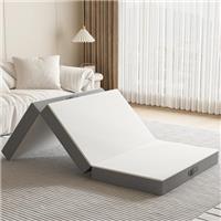PurrJoys Folding Mattress
