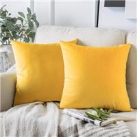 AMFUN Set of 2 Velvet Cushion Covers, 45 x 45 cm Luxury Velvet Square Throw Pillow Cases, Decorative Throw Pillowcases with Invisible Zipper, for Livingroom Sofa Bedroom