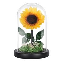 MAMAMIKO Preserved Flowers Gifts For Women, Friends, Friend, Family, Mother