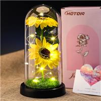 HOTOIQ Gift for Women - Eternal Rose - Forever Roses in Glass Dome, with LED Light