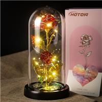 HOTOIQ Gift for Women - Eternal Rose - Forever Roses in Glass Dome, with LED Light