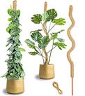 TsLolly Moss Pole for Monstera, Plant Supports for Indoor & Outdoor Use, Monstera Moss Pole for 