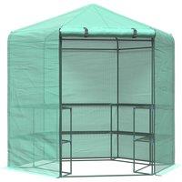 Outsunny Hexagon Walk In Garden Greenhouse PE Planter Flower Growth with Zipped Door 225 x 194 x 215H cm Aosom UK