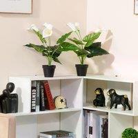 HOMCOM Set of 2 Artificial Realistic Calla Lily Flower, Faux Decorative Plant in Nursery Pot for Indoor Outdoor Dcor, 55cm Aosom UK