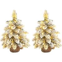 HOMCOM 1.5ft Mini Artificial Christmas Trees with Lights Set of 2, Snow Flocked Tabletop Christmas Trees with Base, Battery Operated Aosom UK