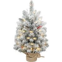 HOMCOM 60 cm Prelit Small Christmas Tree with 35 LED Lights, Snow Flocked Tabletop Mini Xmas Tree with 72 Dense Branches, Pine Cones, Berry Clusters and Linen Cover Base, Battery Operated, Green