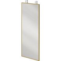 HOMCOM 40 x 110 cm Full Length Wall Mirror, Rectangular Mirror with Adjustable Hooks, Over the Door or Wall Mounted, Gold Tone