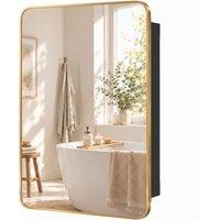 HOMCOM 50.8 x 11.6 x 71 cm Bathroom Mirror Cabinet, Wall Cabinet with Adjustable Shelves, Wall-Mounted or Recessed, Gold Tone