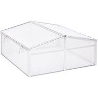 Outsunny Polycarbonate Greenhouse, Aluminium Frame, Grow House for Flowers Vegetables, 100 x 100 x 4