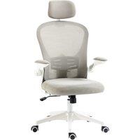 Vinsetto Multi-Adjustable Office Chair, with Lumbar Support, Headrest and Mesh Back - Grey Aosom UK