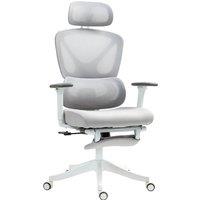 HOMCOM Executive Office Chair, Ergonomic Mesh Desk Chair with 3D Armrests, Rotatable Headrest, Adjustable Lumbar Support for Home Office, Grey