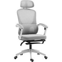 HOMCOM Ergonomic Office Chair, Mesh High Back Desk Chair with Adjustable Lumbar Support and Headrest, Footrest, Reclining Executive Swivel Computer Chair for Home Study, Grey