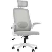 HOMCOM Executive Office Chair, Ergonomic Mesh High Back Desk Chair with Flip-up Armrest, Adjustable Lumbar Support, Headrest for Home Study, Grey