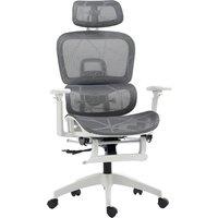 HOMCOM Multi-Adjustable Mesh Office Chair - Grey and White