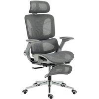 HOMCOM Ergonomic Office Chair, High Back Mesh Desk Chair, Grey