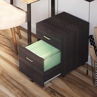 Vinsetto Mobile File Cabinet with 2 Drawers, Locking, Rolling Office Filing Cabinet on 5 Wheels, Black Aosom UK