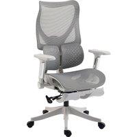 HOMCOM Ergonomic Office Chair with Lumbar Support, Mesh Reclining Desk Chair with Footrest, Adjustable High Back, Grey