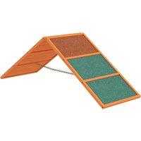 PawHut Dog Agility Equipment, Dog Playground Equipment with Non-slip Surface, A-frame, Agility Ramp for All Breeds, Orange