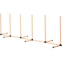PawHut Dog Agility Training Set, Weave Poles Slalom Obstacle Course Equipment, Outdoor Indoor Use with Oxford Carry Bag Aosom UK