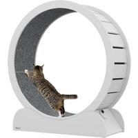 PawHut 39.4" Wooden Cat Running Wheel with Brake, White Aosom UK