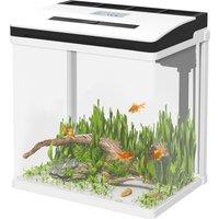 PawHut 13L Glass Aquarium Fish Tank with Filter, LED Lighting, for Betta, Guppy, Mini Parrot Fish, Shrimp, 29 x 20 x 30.5cm
