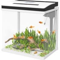 PawHut 28L Glass Aquarium Fish Tank with Filter, LED Lighting, for Betta, Guppy, Mini Parrot Fish, Shrimp, 38 x 26 x 39.5cm Aosom UK
