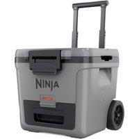 Ninja FrostVault FB230UKGY Cool Box - Grey, Grey
