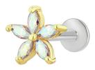 With Bling Gold Coloured Cubic Zirconia Flower Labret Stud