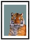 East End Prints Abstract Tiger Face Framed Wall Art - A2