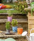 Garden by Sainsbury's Smiley Face Planters - Set of 3