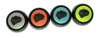 Iquties Recordable Dog Training Buttons - Pack of 4