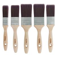 Coral Aspire Paint Brush - Set of 5