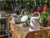 Argos Home Cream Watering Can