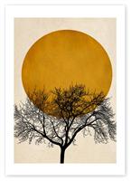 East End Prints Winter Morning Unframed Wall Print - A2