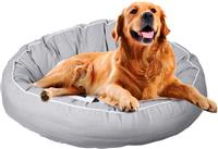 Snoooz Orthopaedic Dog Bed - Extra Large