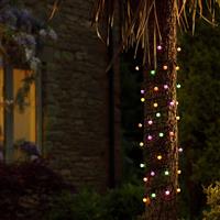 Garden by Sainsbury's 50 Berry Solar String Lights