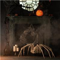 Argos Home Large Foldable Spider Halloween Decoration