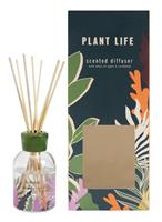 Habitat x Designs in Mind Scented Reed Diffuser - Plant Life
