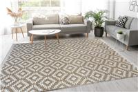 Genesis Natural Indoor Outdoor Rug - 200X290